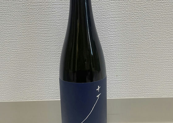 alt 1