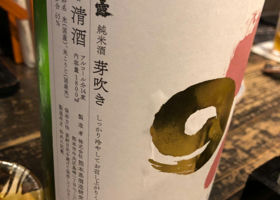 alt 3