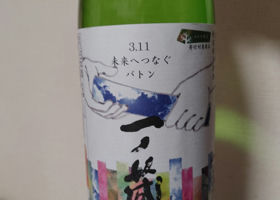 alt 1
