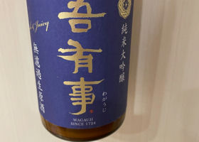 alt 1