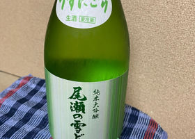 尾瀬の雪どけ チェックイン 1
