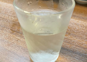 alt 3