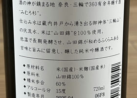 alt 3