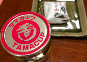 Tamagawa Check-in 2