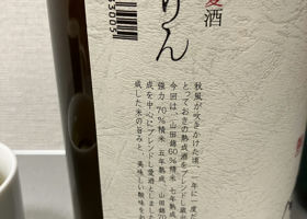 alt 3