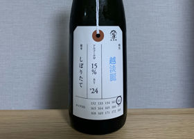 alt 1