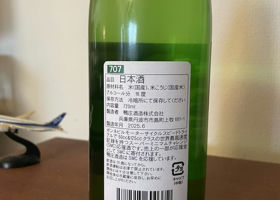 alt 3