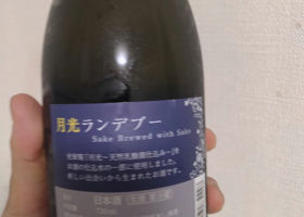 alt 1