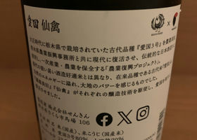 alt 3
