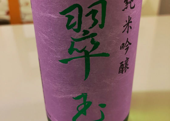 alt 1