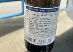 alt 2