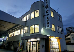 alt 1