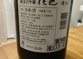 alt 3