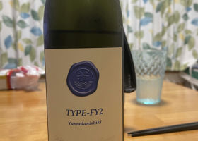 Type-FY2 チェックイン 1