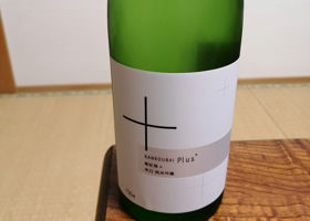 alt 1