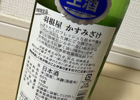 alt 3