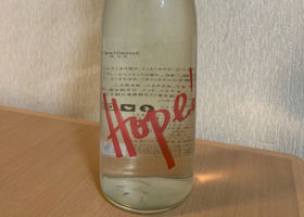 alt 1