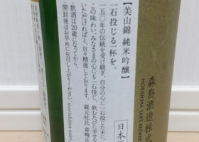 alt 3