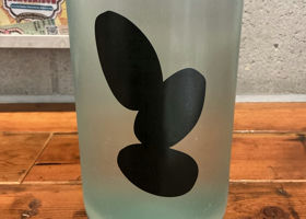 alt 3