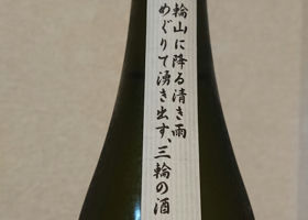 alt 3