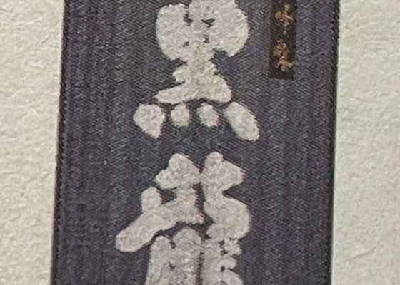 alt 1
