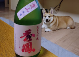 秀鳳 チェックイン 2
