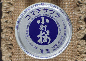 alt 4