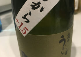 alt 1