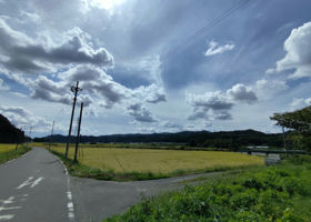 alt 3