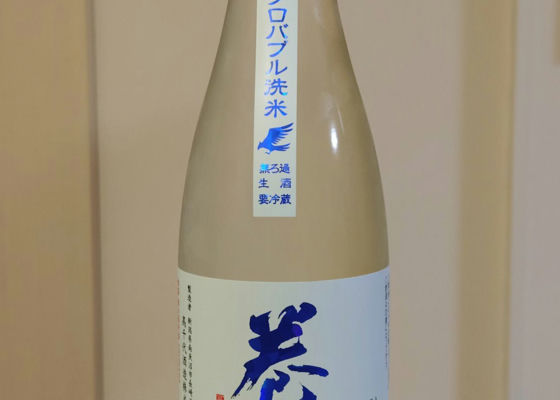 alt 1