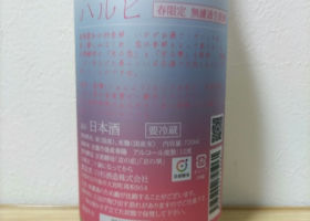 alt 3