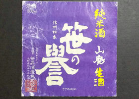 alt 3