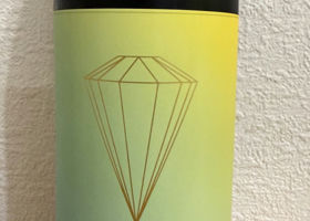 alt 1