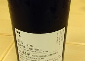 alt 1