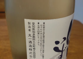 alt 3