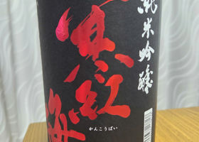 alt 3