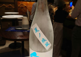 alt 1