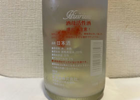 alt 2