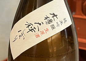 alt 3