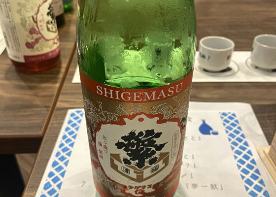 Shigemasu Check-in 1