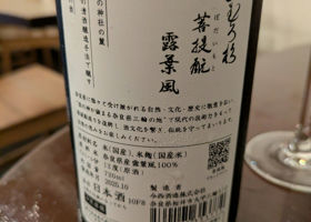 alt 3