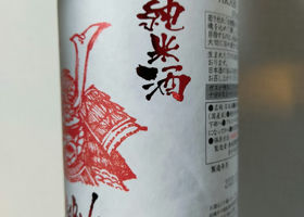 alt 3