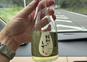 醍醐のしずく チェックイン 1