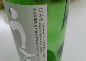 alt 1