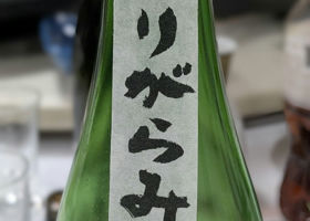 alt 3