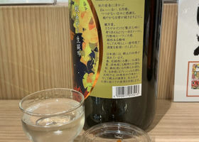 alt 3