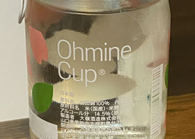 Ohmine Junmai チェックイン 2