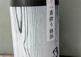 alt 1