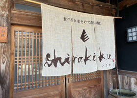 alt 3