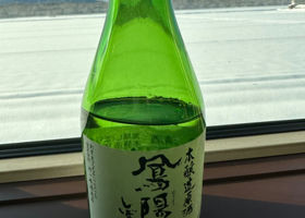 alt 1